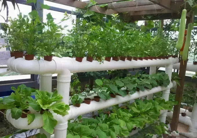 新房裝修陽臺要不要封 新房裝修陽臺要不要封